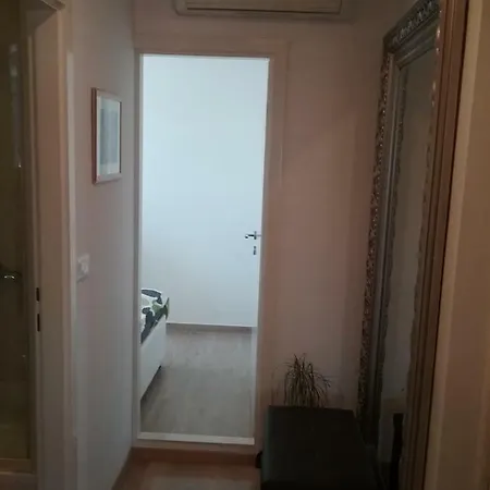 Apartment Sunny And Cozy